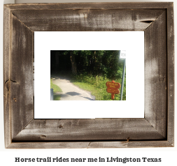 horse trail rides near me in Livingston, Texas